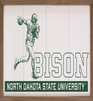 Vintage Football North Dakota State University